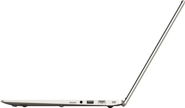 Dynabook Satellite Pro C50-H-12N, Light Gold, Core i3-1005G1, 8GB RAM, 256GB SSD, DE