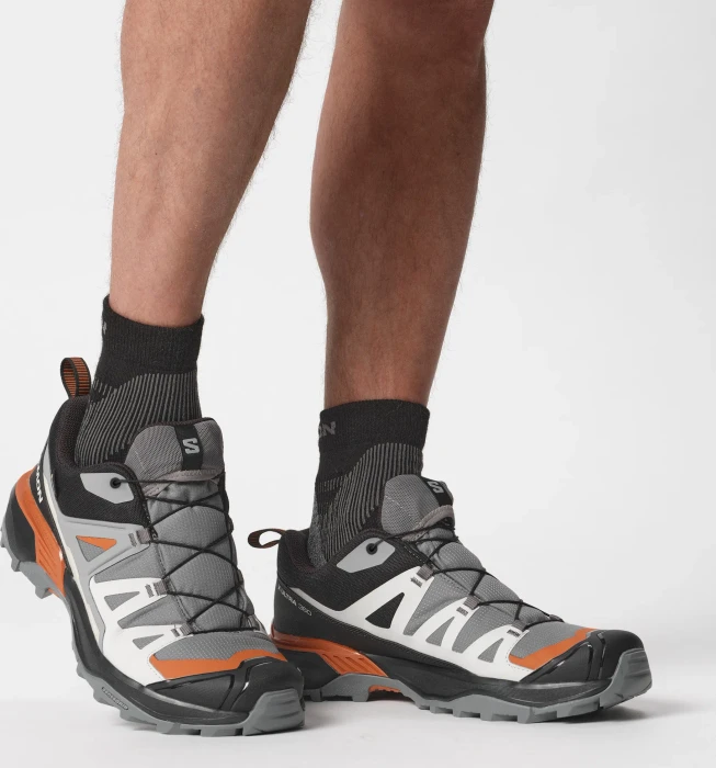 Salomon X Ultra 360 GTX quiet shade/black/spice route (Herren)