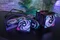 Cooler Master MasterLiquid PL360 Flux 30th Anniversary Edition Vorschaubild