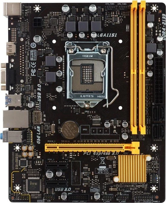 Biostar H110