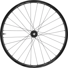 Giant XCR 2 MTB Carbon 28H 25.8mm/25mm 29" 15x110 TA 6-Loch Disc Vorderlaufrad