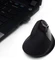 Ewent Wireless Ergonomic Mouse schwarz, USB Vorschaubild