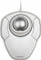 Kensington Orbit Scroll Ring Trackball weiß, USB Vorschaubild