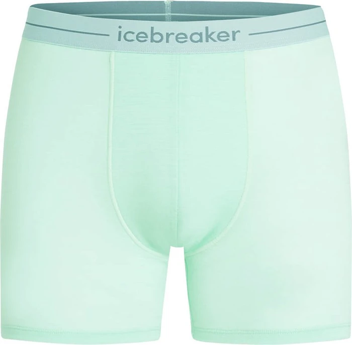 Icebreaker Anatomica Boxer Briefs mint (Herren)