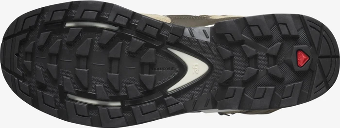 Salomon Quest 4 GTX kelp/wren/bleached sand (Herren)