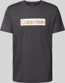 Calvin Klein Logo T-Shirt kurzarm phantom (Herren)