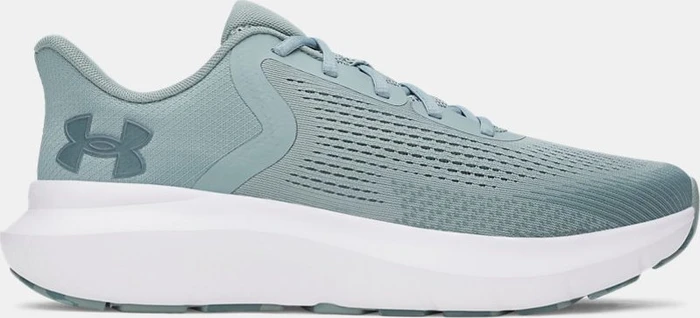 Under Armour Rogue 5 (Herren)