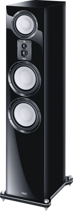 Magnat Signature 909 schwarz, Stück