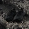 adidas Terrex Freehiker SL Gore-Tex core black/grey six (Herren) Vorschaubild