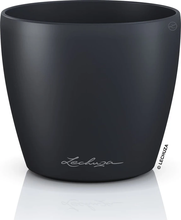 Lechuza Classico Color Deco 10