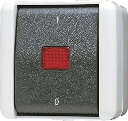 Jung WG 800 Wipp-Kontrollschalter mit Kennzeichnung I/O 16AX 400V
