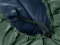 Deuter Orbit 0° SL Mumienschlafsack ivy/ink Vorschaubild