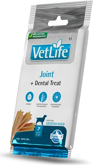 Dental Treat Joint Medium & Maxi, 100g
