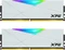 ADATA XPG Spectrix D50 RGB DIMM DDR4 Vorschaubild