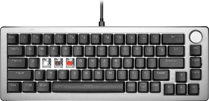 Cooler Master CK720, LEDs RGB, hot-swap, schwarz/grau, Kailh Box V2 BROWN, USB, US