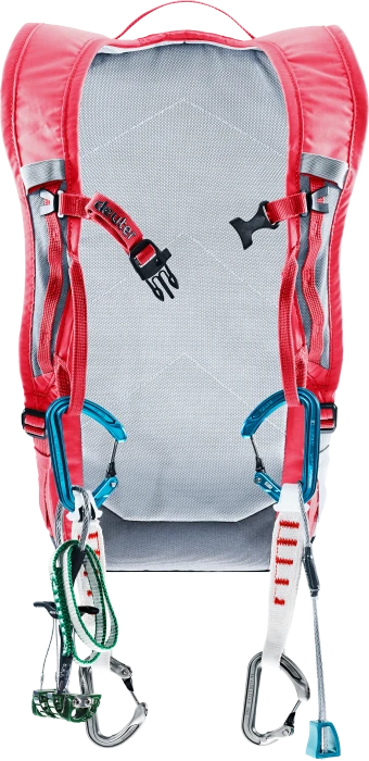 Deuter Gravity Pitch 12 hibiscus/graphite