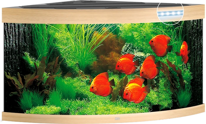 Aquarium-Set, Helles Holz, 350l
