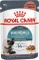 Royal Canin Hairball Care Vorschaubild