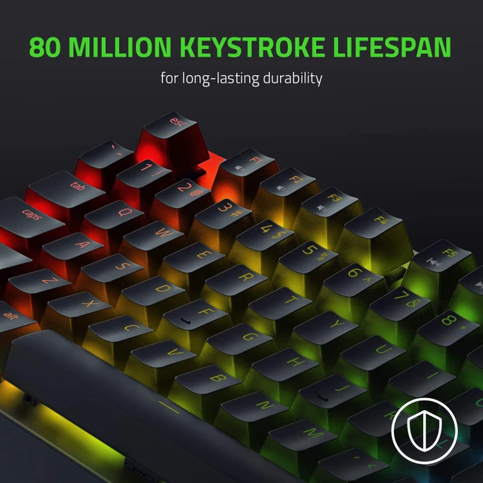 Razer BlackWidow V3 Tenkeyless, Razer GREEN, USB, FR