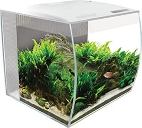 Fluval Flex 34 Aquarium weiß,