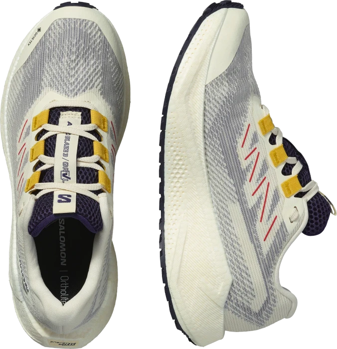 Salomon Aero Glide 3 GRVL GTX vanilla ice/astral aura/lemon (Damen)