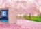 Cooler Master MasterBox NR200P Sakura Limited Edition, rosa, Glasfenster, Mini-ITX Vorschaubild