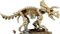 LEGO Jurassic World - Dinosaurier-Fossilien: Triceratops Vorschaubild