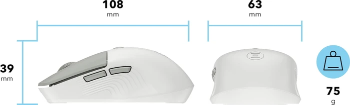 Eternico MSB270 Wireless Office Mouse grau, USB/Bluetooth