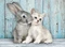 Clementoni Katze und Hase Vorschaubild