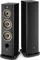 Focal Aria Evo X N°4 Vorschaubild