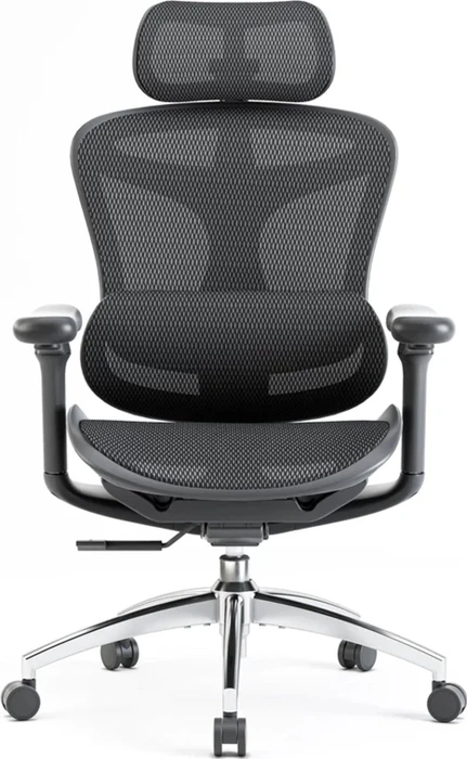 Sihoo Doro C300 Ergonomischer Bürostuhl, schwarz