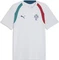 Puma FIFA WM 2026 Portugal Slim Trainingstrikot kurzarm silver mist/ocean tropic (Herren) Vorschaubild