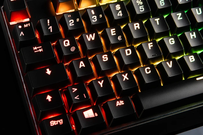 Modecom Lanparty Plus RGB, LEDs RGB, Gaote Outemu BROWN, USB, DE
