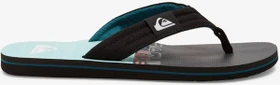 Quiksilver Molokai Layback blau 5 (Herren)