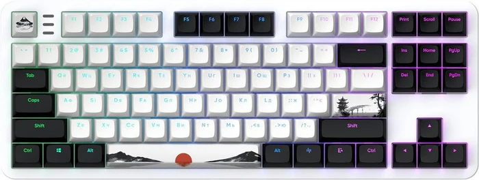 Dark Project ALU87 Fuji II Gaming Keyboard, weiß/schwarz, LEDs RGB, g3ms Sapphire, USB, UA/US
