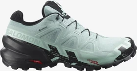 Salomon Speedcross 6 Gore-Tex aquifer/black/yucca (Damen)