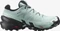 Salomon Speedcross 6 Gore-Tex aquifer/black/yucca (Damen) Vorschaubild