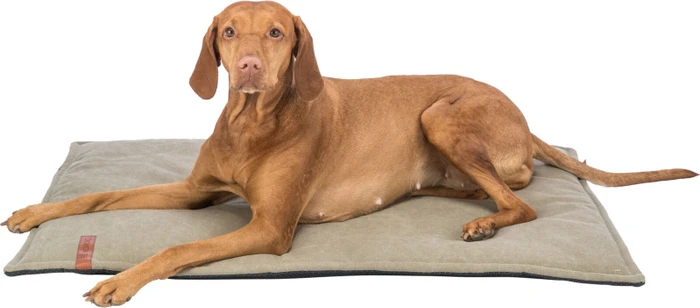 Trixie BE NORDIC Liegematte Föhr, 70x55cm, braun