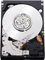 Western Digital WD XE Enterprise 900GB, 2.5" / SAS 6Gb/s Vorschaubild