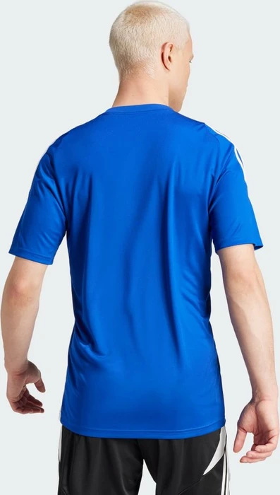 adidas Tiro 24 Trikot kurzarm royal blue/white (Herren)
