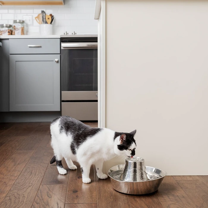PetSafe Seaside Edelstahl-Trinkbrunnen, 1.8l
