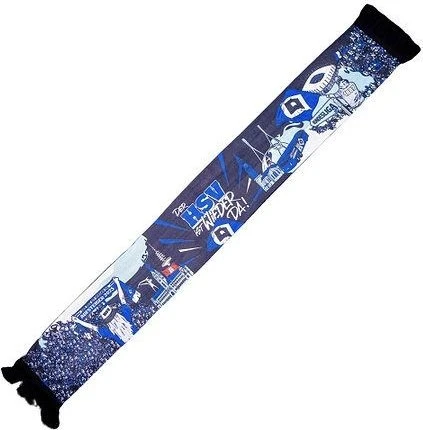 Hamburger SV Aufstieg 2024/2025 Fanschal