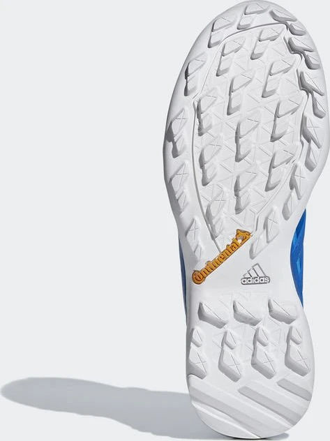 adidas Terrex Swift R2 GTX blue beauty/bright blue (Herren)