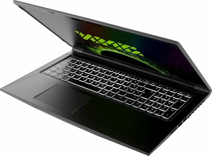 Schenker XMG Core 17-E20njp, Core i7-10750H, 16GB RAM, 500GB SSD, GeForce RTX 2060, DE