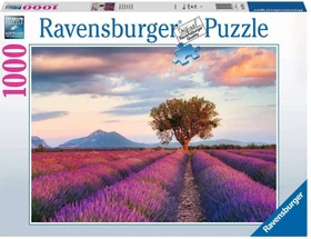 Ravensburger Puzzle Lavendelfeld in der goldenen Stunde