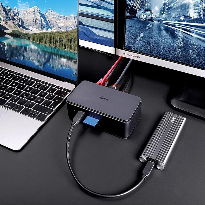 Lindy DST-Pro USB4, USB4 [Buchse]