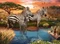 Ravensburger Puzzle Zebras am Wasserloch Vorschaubild