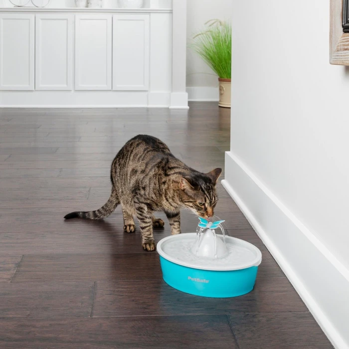 PetSafe Drinkwell Butterfly Trinkbrunnen, 1.5l