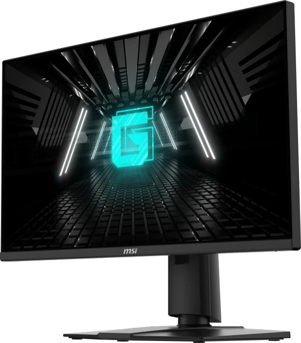 MSI G255PFDE E2, 24.5"