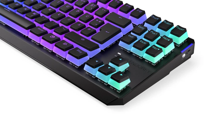 Endorfy Thock TKL Wireless Pudding, PBT, LEDs RGB, hot-swap, Kailh Box BROWN, USB/Bluetooth, DE